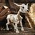 21 1/4" Standing Steer Skeleton Halloween Decoration