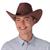 Cowboy Hat