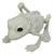 FROG SKELETON