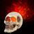 Blazing Scenes Natural Brushed Skull Fire & Ice 10"