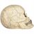20"Glow-in-the-Dark Skull Halloween Decoration