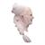 Bram Stokers Dracula Dracula Overhead Silicone Mask - One Size