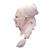 Bram Stokers Dracula Dracula Overhead Silicone Mask - One Size