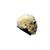 Adults Ghoulish Productions Junior Skull Overhead Latex Mask
