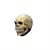 Adults Ghoulish Productions Junior Skull Overhead Latex Mask