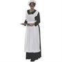 Old Maid Adult Costume