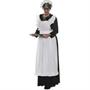 Old Maid Adult Costume