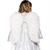 Adult Feather Wings 26in