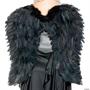 Adult Feather Wings 26in