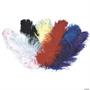 Ostrich Plumes Jumbo