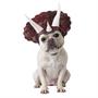 Triceratops Pet Costume