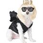 Pop Sensation Pet Costume