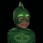 Pj Gekko Deluxe Mask Child