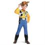 Boy's Woody Costume