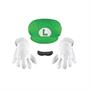 Luigi Accessory Kit