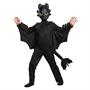 Toothless Classic Costume