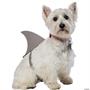 Shark Fin Dog
