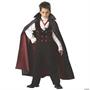 Gothic Vampire Boy's Costume