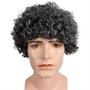 Style 100 Curly Wig