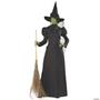 Witch Classic Deluxe Adult Costume