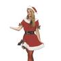 Women's Ms. Santa Costume