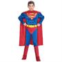 Superman Muscle Toddler Costume