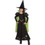 Girl's Wizard Of Oz - Wicked Witch Costume