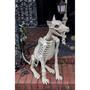 Doberman Skeleton Decoration