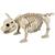 PIG SKELETON