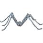 Gray Spider Giant