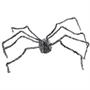 Gray Spider Giant