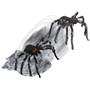 JUMPING SPIDER BLACK