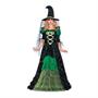 Women's Storybook Witch Costume