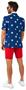 OppoSuits Men's Summer Suits SUMMER Stars and Stripes