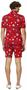 OppoSuits Men's Summer Suits SUMMER Dapper Decorator