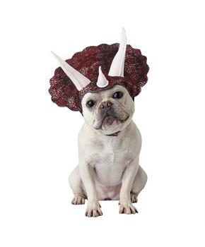 Triceratops Pet Costume