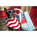 20" Patriotic Stars & Stripes Bandanas - 12 Pc.