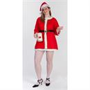 Kringle's Kompanion Costume