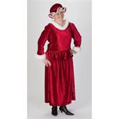 Mrs. Christmas Costume