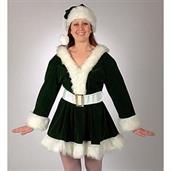 Green Velvet Perky Pixie Costume