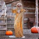 Standing Pop Up Head Pumpkin Man Halloween Decoration 5 1/2 Ft.
