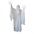 Standing Animated Skeleton Ghost Halloween Decoration 55" x 65 1/2"