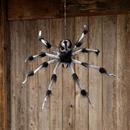 Gray and Black Hairy Floating Spider Hanging Halloween Decoration 31 1/2"