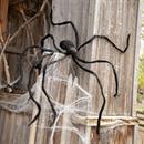 Spiders & Webs 
