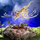 Pterosaur Skeleton Plastic Hanging Halloween Decoration 35 1/4 x 11 3/4