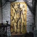 6 Ft. 6 3/4" Human Anatomy Drawings Door Curtain Halloween Decoration
