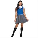 Adults Harry Potter Ravenclow Dress Costume