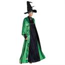 Women's Deluxe Harry Potter Professor McGonagall Costume