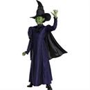 Elphaba Deluxe Costume