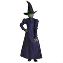 Wicked Costumes